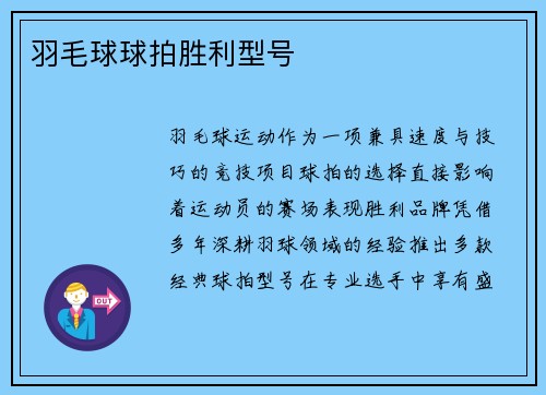 羽毛球球拍胜利型号